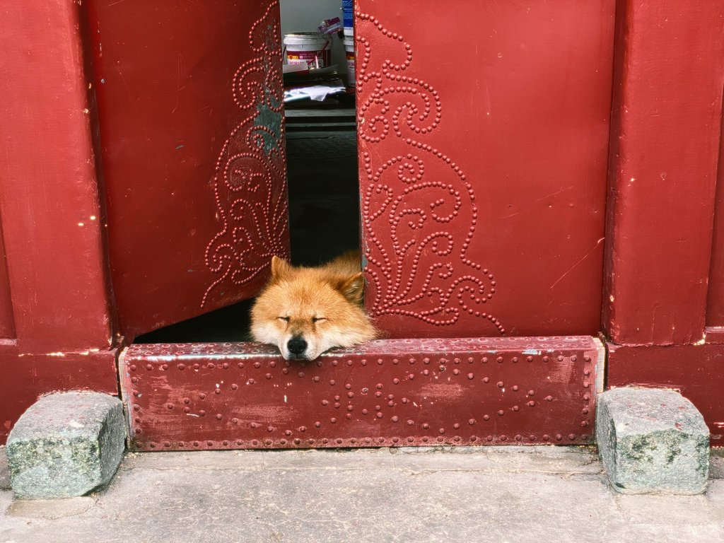 吃完夏天后的休闲
