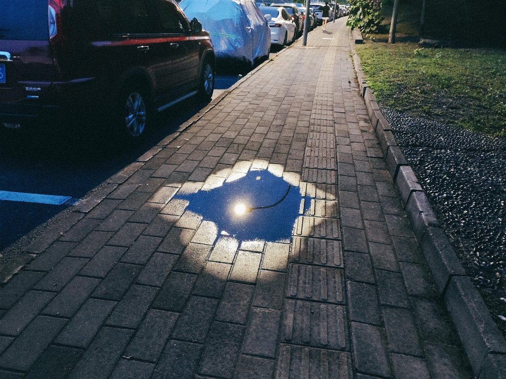 Every Light Has It's Warm.